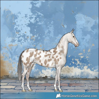 Horse Color:Liver Red Dun Near Leopard Brindle 