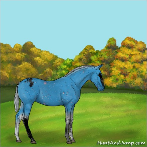 Horse Color:ERROR: UNKNOWN ANOMALY