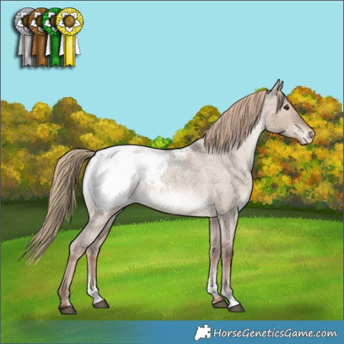 Horse Color:Liver Red Dun Roan Sabino Appaloosa Brindle 