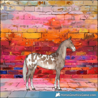 Horse Color:Silver Brown Dun Sabino Blanket Brindle 