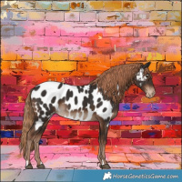 Horse Color:Liver Chestnut Near Leopard 