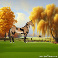 Horse Color:Void White Spotted Buckskin Dun 