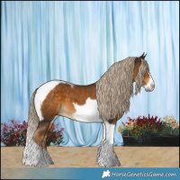 Horse Color:Chocolate Palomino Tobiano Frame 