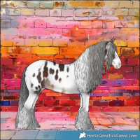 Horse Color:Brown Splash Tobiano Near Leopard 