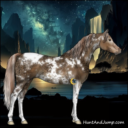 Horse Color:Gray White Spotted Liver Red Dun Ice Tobiano 