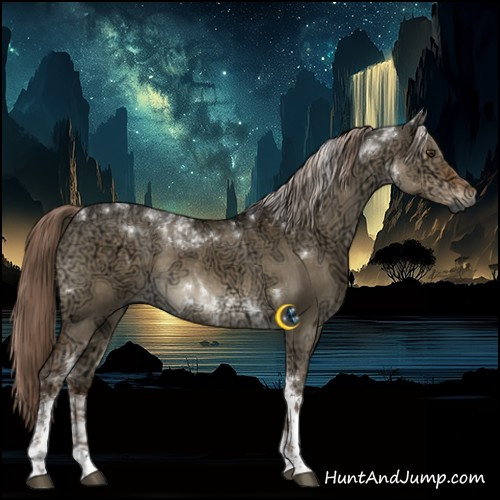 Horse Color:Gray Liver Red Dun Ice Tobiano Rabicano 