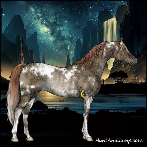 Horse Color:Gray White Spotted Liver Red Dun Ice Rabicano 
