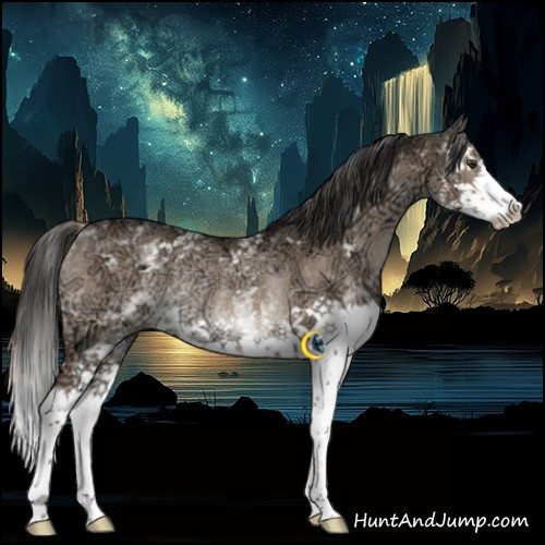 Horse Color:White Spotted Liver Red Dun Ice Splash Rabicano 