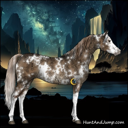 Horse Color:Gray White Spotted Liver Red Dun Ice Splash Rabicano 