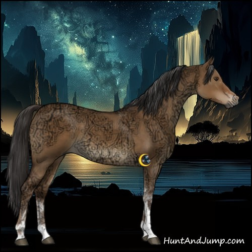 Horse Color:Gray Liver Red Dun Ice Tobiano Rabicano 