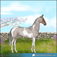 Horse Color:Liver Red Dun Roan Tobiano 