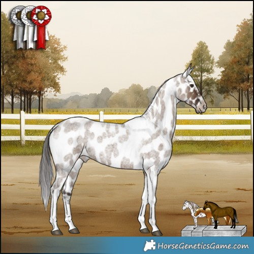 Horse Color:Liver Red Dun Roan Tobiano Appaloosa Brindle 
