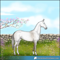 Horse Color:Gray Brown Snowdrop Pearl Dun Sabino Brindle