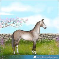 Horse Color:Gray Brown Pearl Dun Sabino Brindle 