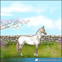 Horse Color:Chocolate Palomino Roan Dun Snowcap 
