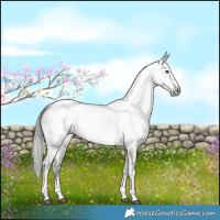 Horse Color:Gray Brown Dun Sabino Near Leopard Brindle 