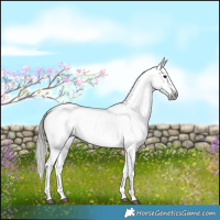 Horse Color:Gray Grullo Sabino Near Fewspot 