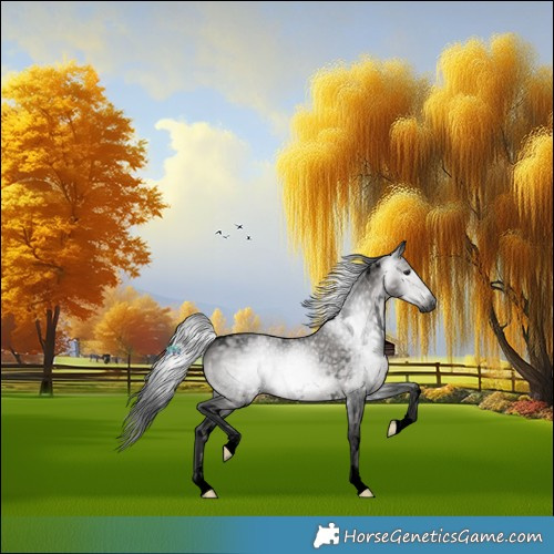 Horse Color:Gray Void Platinum White Spotted Brown Dun 