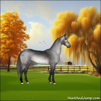 Horse Color:Gray Void Platinum Brown Appaloosa Rabicano
