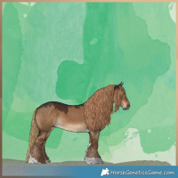 Horse Color:Gray Liver Red Dun Tobiano 