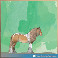 Horse Color:Chocolate Palomino Dun Tobiano Varnish 