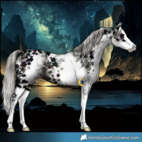Horse Color:White Spotted Midnight Liver Chestnut Ice Splash Rabicano 