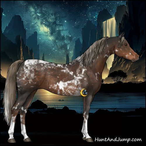 Horse Color:Gray White Spotted Liver Chestnut Mushroom Tobiano Rabicano
