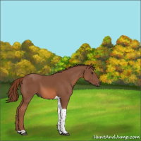 Horse Color:Chestnut Tobiano 