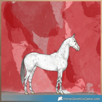 Horse Color:Brown Roan Dun Leopard Brindle 