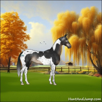 Horse Color:Gray Brown Tobiano Varnish Rabicano