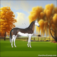 Horse Color:Gray Brown Splash Snowflake Varnish 