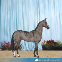 Horse Color:Smoky Grullo Sabino Brindle 