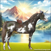 Horse Color:White Spotted Liver Chestnut Frame 