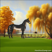 Horse Color:Gray Void Brown Blanket 