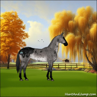 Horse Color:Void Platinum White Spotted Brown Dun Splash Snowcap 