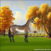 Horse Color:Gray Void Brown Dun Snowflake VarnishRabicano 
