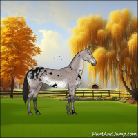 Horse Color:Gray Void Platinum White Spotted Brown Dun Appaloosa 