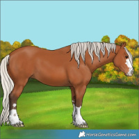 Horse Color:Silver Bay