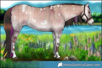 Horse Color:Plaid White Spotted Liver Red Dun Onyx Brindle