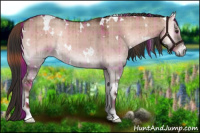 Horse Color:Plaid White Spotted Liver Red Dun Onyx Brindle