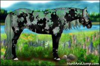 Horse Color:Void Watercolor Plaid  White Spotted Chocolate Palomino Onyx Splash 