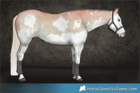 Horse Color:Watercolor White Spotted Chocolate Palomino Dun Splash 