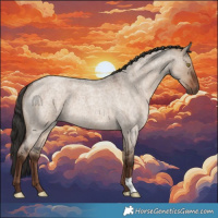 Horse Color:Liver Red Dun Roan 