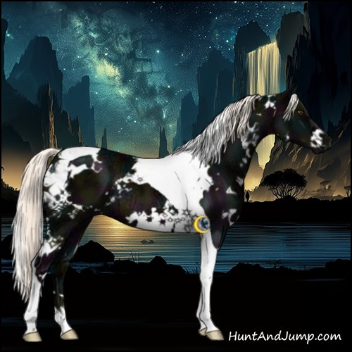 Horse Color:White Spotted Midnight Liver Chestnut Ice Mushroom Tobiano
