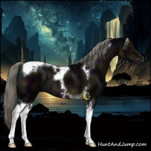 Horse Color:Midnight Liver Chestnut Ice Mushroom Tobiano