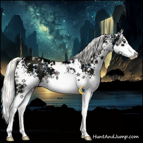 Horse Color:White Spotted Midnight Liver Chestnut Ice Mushroom Splash