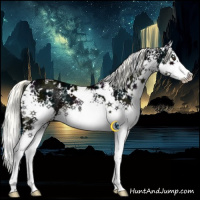 Horse Color:White Spotted Midnight Liver Chestnut Ice Mushroom Splash 