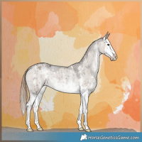 Horse Color:Liver Red Dun Sabino Splash Varnish Brindle 