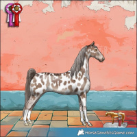 Horse Color:Liver Red Dun Near Leopard 