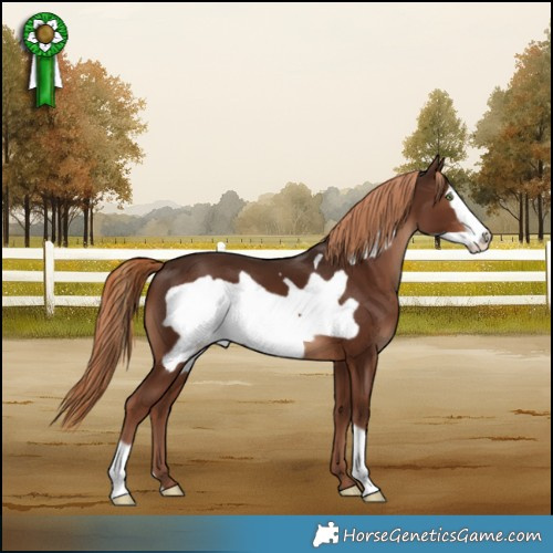 Horse Color:Liver Chestnut Frame 
